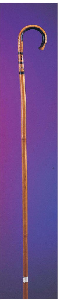 Bamboo Cane