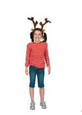 Reindeer Antlers