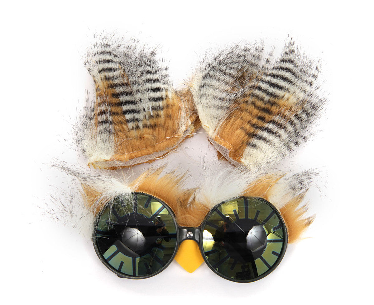 Owl Kit
