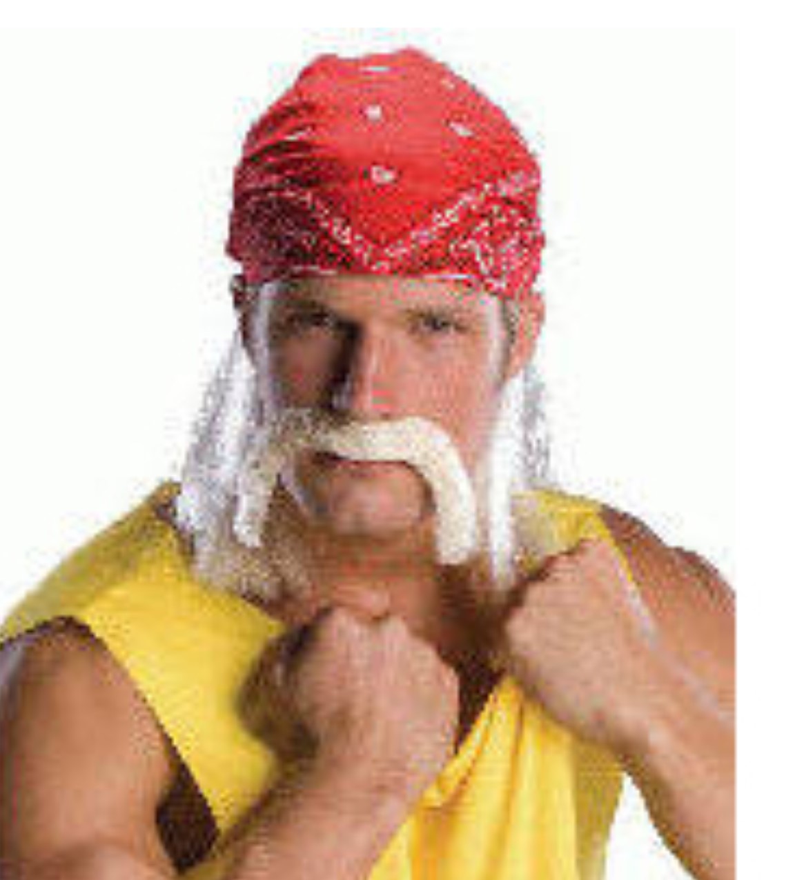 Wrestling Star Wig