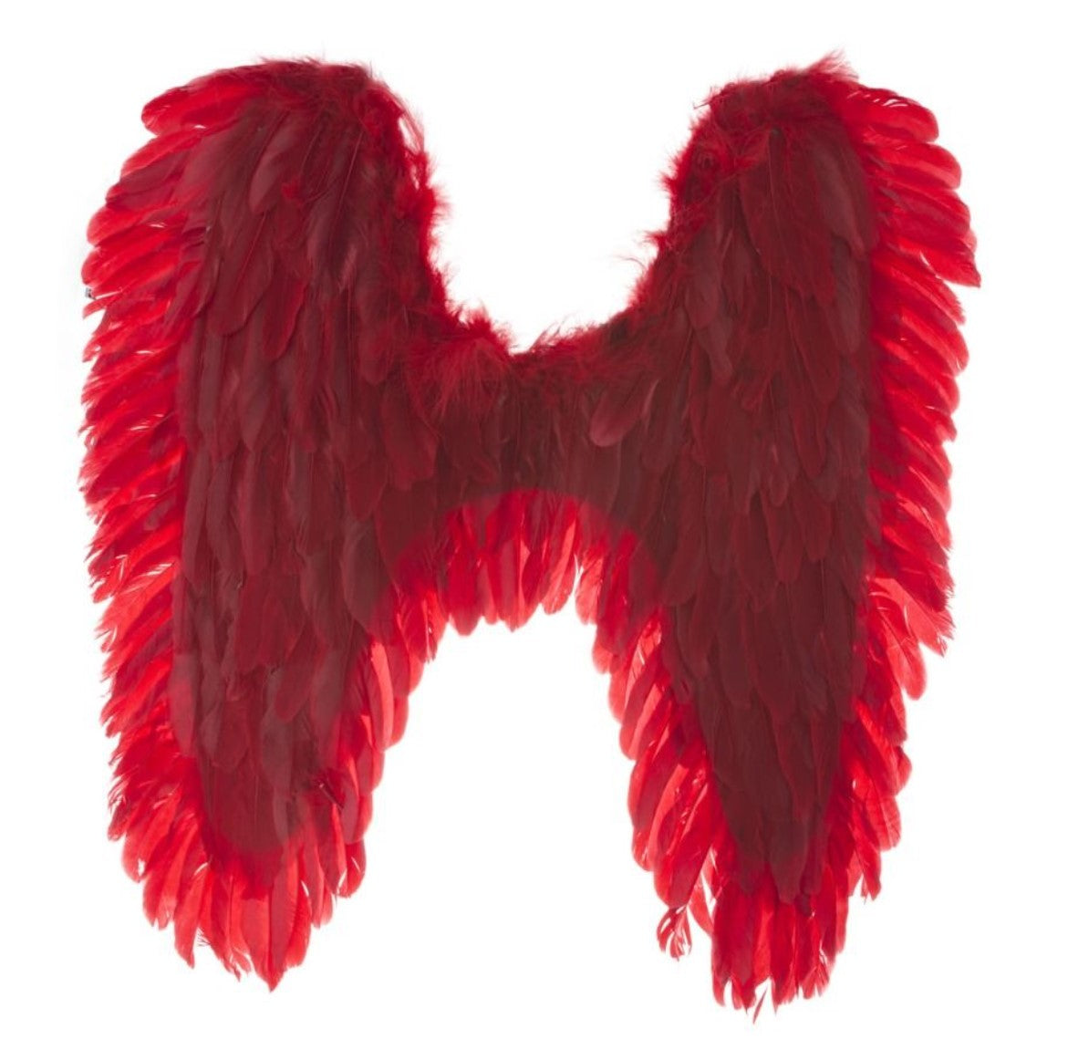 Wings-Feathers