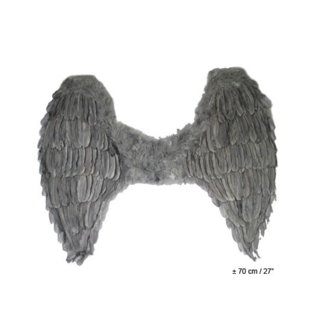 Wings-Feathers