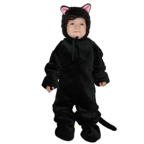 Little Cat