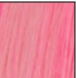 Eve Wig