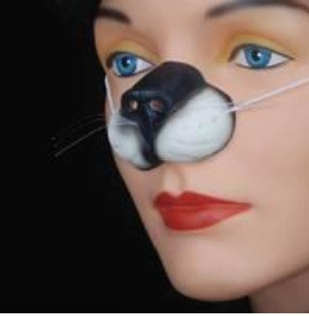 Cat Nose