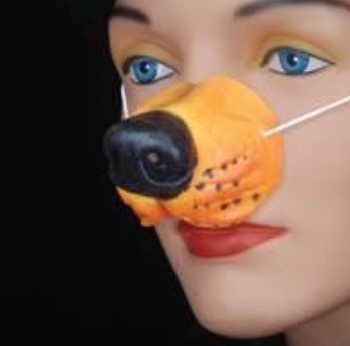 Dog Nose