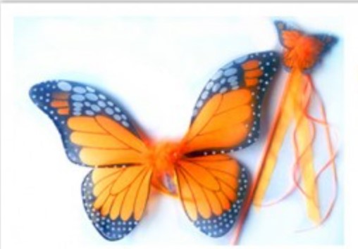 Wing Set