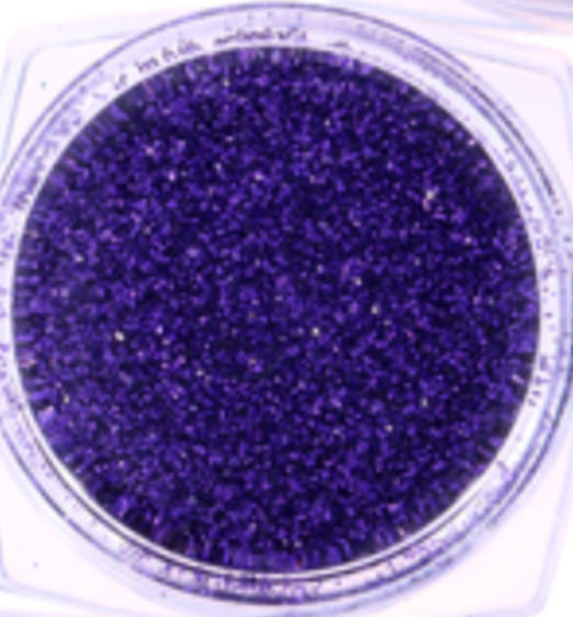 Carnival Body Glitter