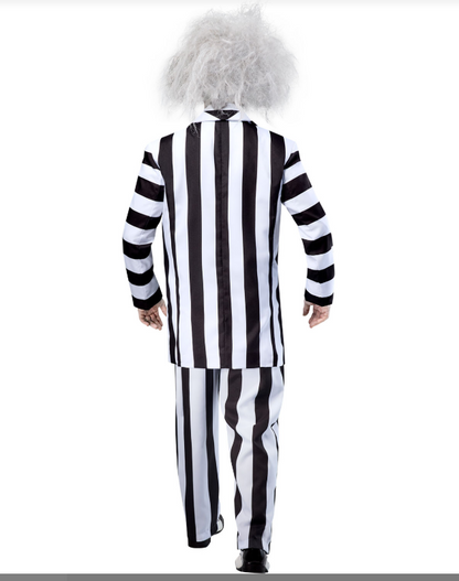 Beetlejuice Grand Heritage Adult Costume