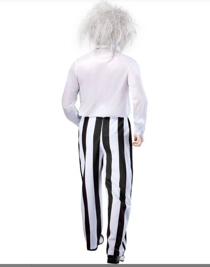 Beetlejuice Grand Heritage Adult Costume