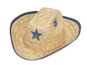 Sheriff Hat