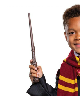 Harry Potter Dress-Up Set
