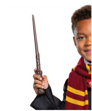 Load image into Gallery viewer, Harry Potter Dress-Up Set
