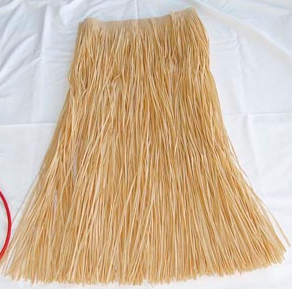 Hula Skirt