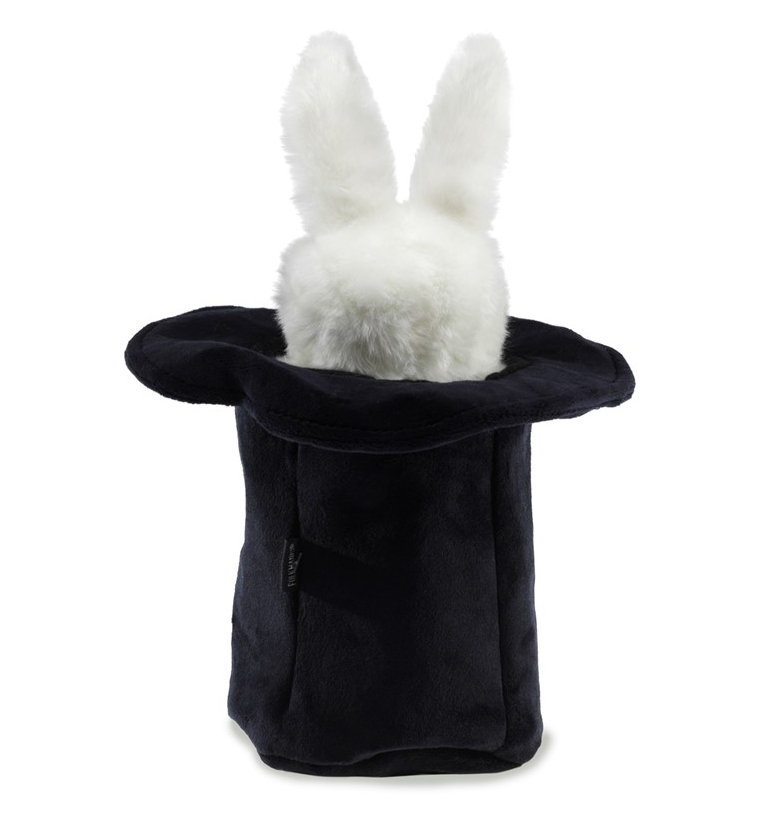 Rabbit in Hat