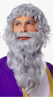 Wig & Beard Biblical Wig