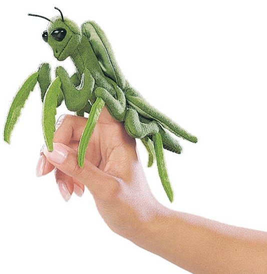 Praying Mantis