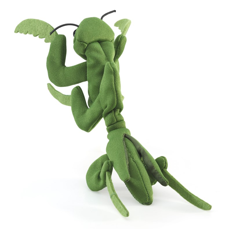 Praying Mantis