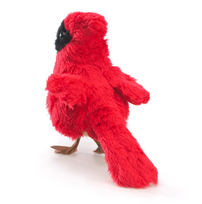 Cardinal