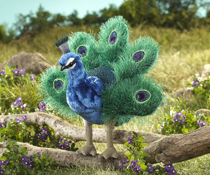 Peacock