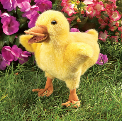 Duckling