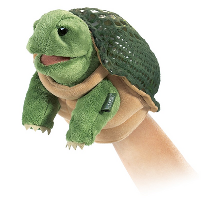 Little Turtle