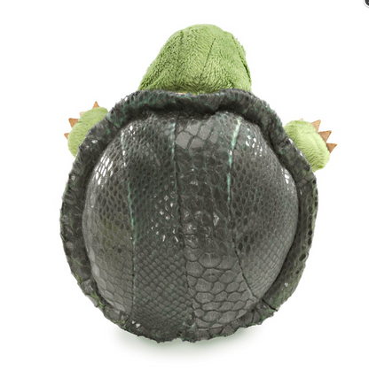 Little Turtle