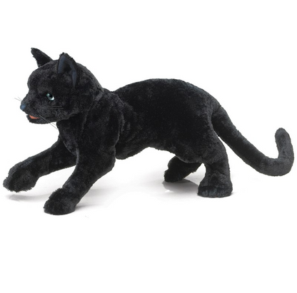 Cat, Black