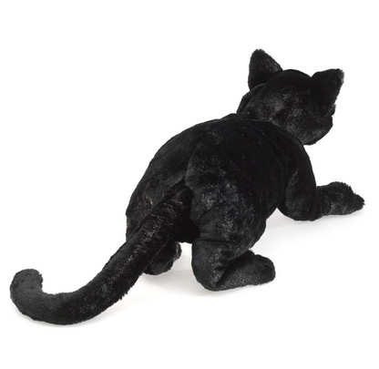 Cat, Black