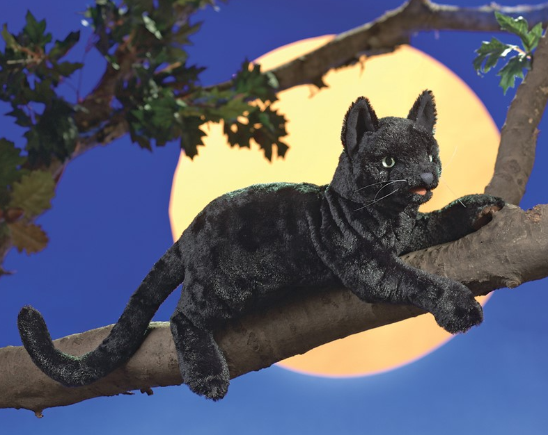 Cat, Black