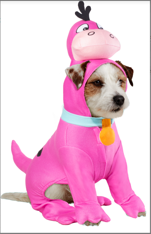 Dino Pet Costume