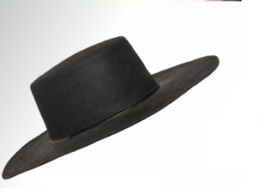 Prairie Flat Brim Hat