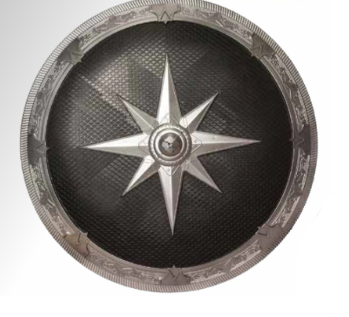 Silver & Black Shield