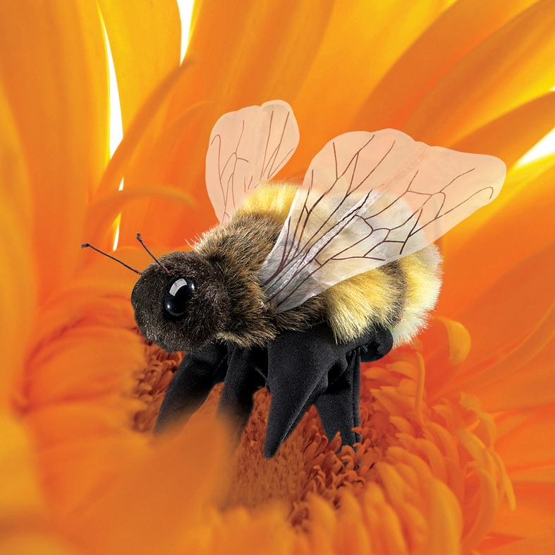 Bee, Honey