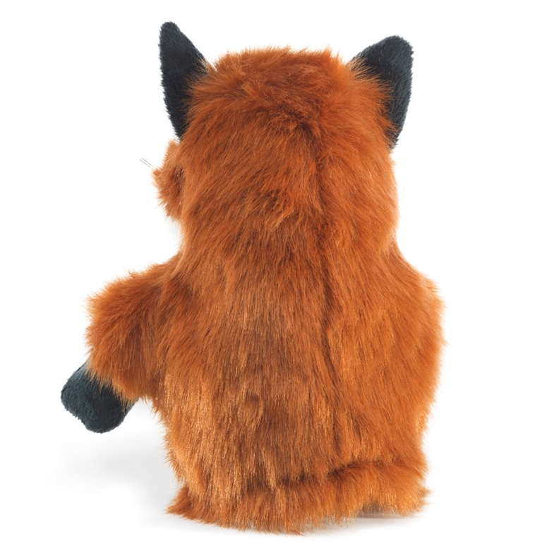 Little Fox