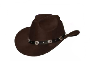 Cowboy Hat