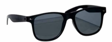 Wayfarer Glasses