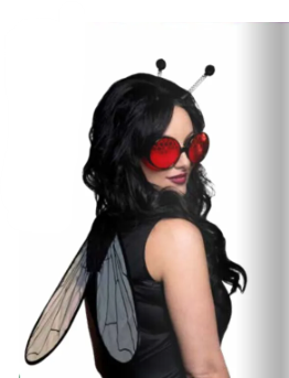 Fly Accessory