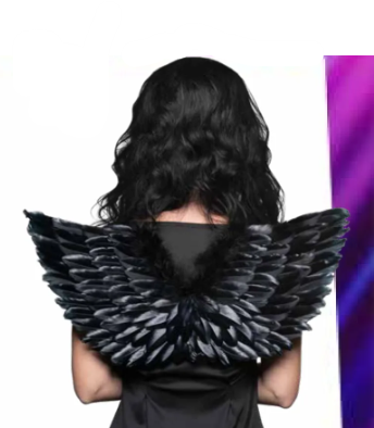 Black feather Wings