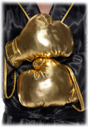 Boxing Gloves