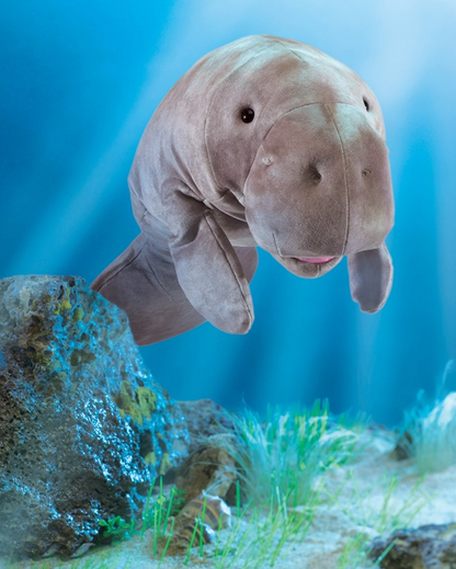 Manatee