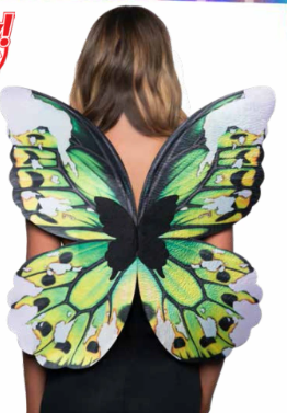 Butterfly Wings