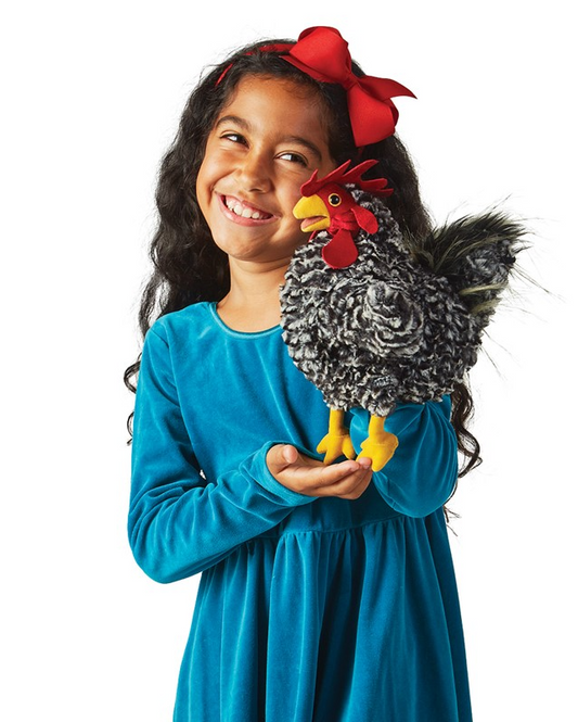 Rooster, Barred Rock