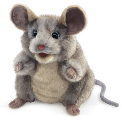 Mouse, Gray
