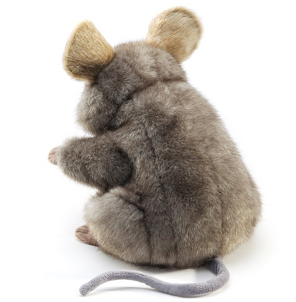 Mouse, Gray