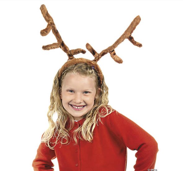 Reindeer Antlers