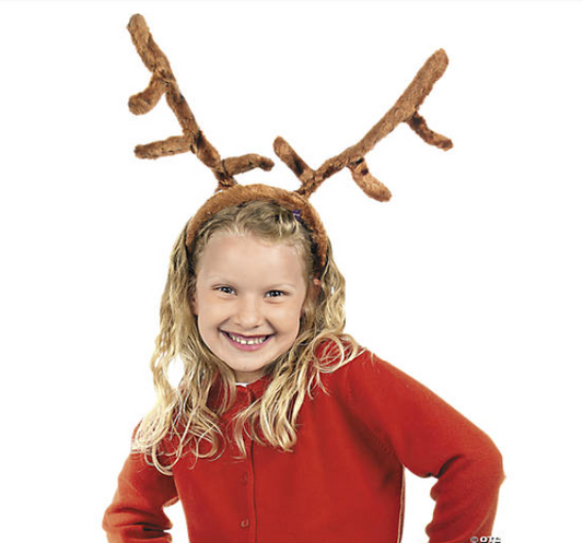 Reindeer Antlers