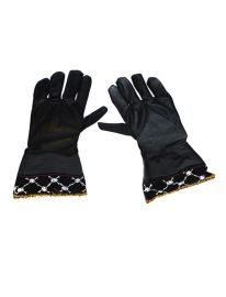 Glove Pirate