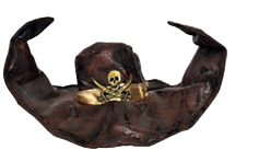 Hat Pirate