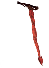 Devil Tail